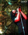 korn-33.jpg (61526 bytes)